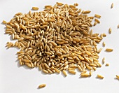 Kamut grains