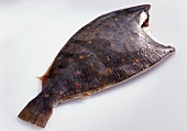 Plaice without head