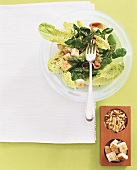 Romaine lettuce with asparagus, watercress and croutons