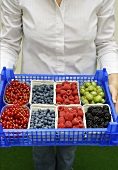 Woman holding crate of fresh berries