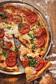 Cheese and tomato pizza with basil, a piece cut