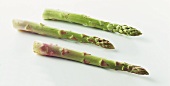 Three green asparagus stalks