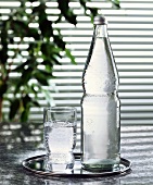 Mineral water in bottle and glass on tray