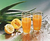 Ritas: drink with Aloe vera juice, Triple Sec and Tequila
