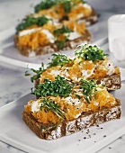 Wholemeal bread with raw carrot and cress
