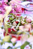 Spring salad with radishes and young birch leaves