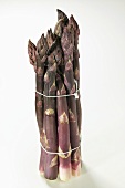 Purple asparagus, in a bundle