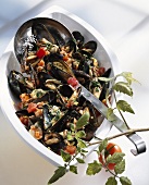 Mussels in spicy tomato sauce with herbs