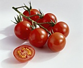 Tomatoes, variety Conchita