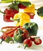 Still life with various types of peppers