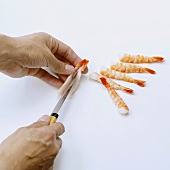 Making nigiri sushi with shrimps (cutting open shrimps)
