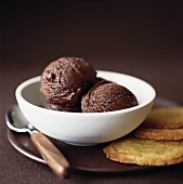 Chocolate ice cream in white bowl, biscuits beside it