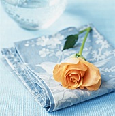 Orange rose on pale-blue fabric napkin