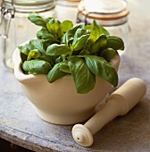 Fresh basil in a mortar