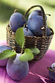 Fresh plums in a basket