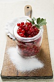 Redcurrants in jam jar, sugar beside it