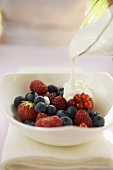 Joghurt auf frische Beeren gießen
