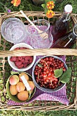 Berries, apricots, bottles of juice and jars in basket