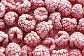 Frozen raspberries, full-frame