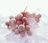 Frozen redcurrants on ice cubes