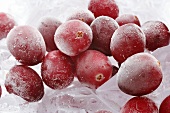 Gefrorene Cranberries auf Eiswürfeln (Close Up)