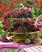 Red grapes on tiered stand with Boston ivy leaves