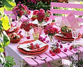 Herbstlich gedeckter Gartentisch mit Astern
