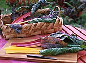 Swiss chard leaves on chopping board and in basket