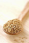 Sesame seeds on wooden spoon