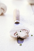 Slice of mushroom on knife
