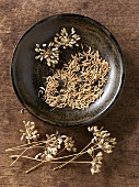 Fennel seeds in bowl