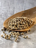 White peppercorns in a wooden ladle