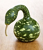Green bottle gourd