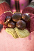 Child's hands in woollen mittens holding chestnuts