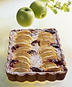 Apple and plum cake with icing sugar