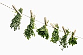 Thyme, oregano and mint drying on a washing line