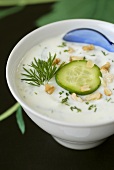 Cold yoghurt soup with cucumber, dill and nuts (Bulgaria)