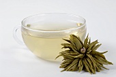 Cup of green tea beside tea anemone