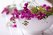 Sweet peas in white bowl