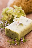 Herb and lavender soap, thyme, hydrangea and sponge