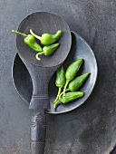 Green chillies in bowl and on wooden spoon