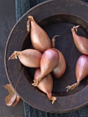 Shallots on plate (overhead view)