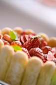 Strawberry cheesecake with lemon balm