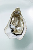 Fresh oyster with pearl (overhead view)
