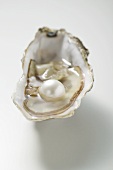 Fresh oyster with pearl (close-up)