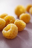 Yellow raspberries on mauve background