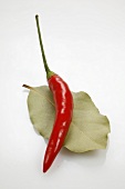 Chilli and bay leaf