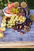 Sweet chestnuts, pomegranates, grapes, apples & autumn leaves