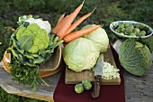 Various types of brassicas and carrots