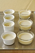 Vanilla cream in seven small dishes